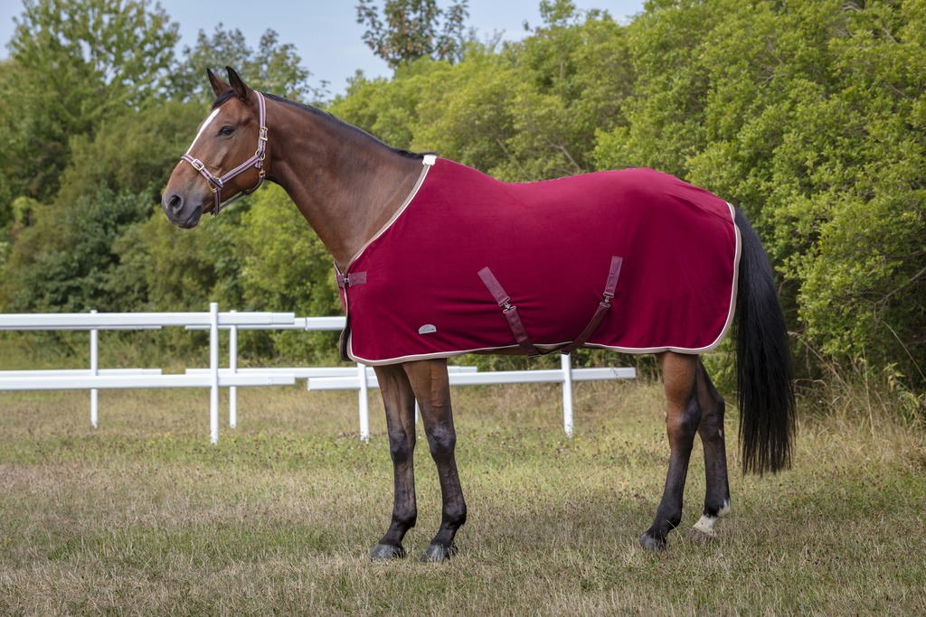 Chemise polaire EQUITHÈME "Polyfun"