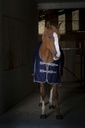 Chemise EQUITHÈME "Sweat"