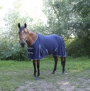 Chemise EQUITHÈME "Sweat"