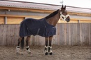 Chemise EQUITHÈME "Cool Dry"
