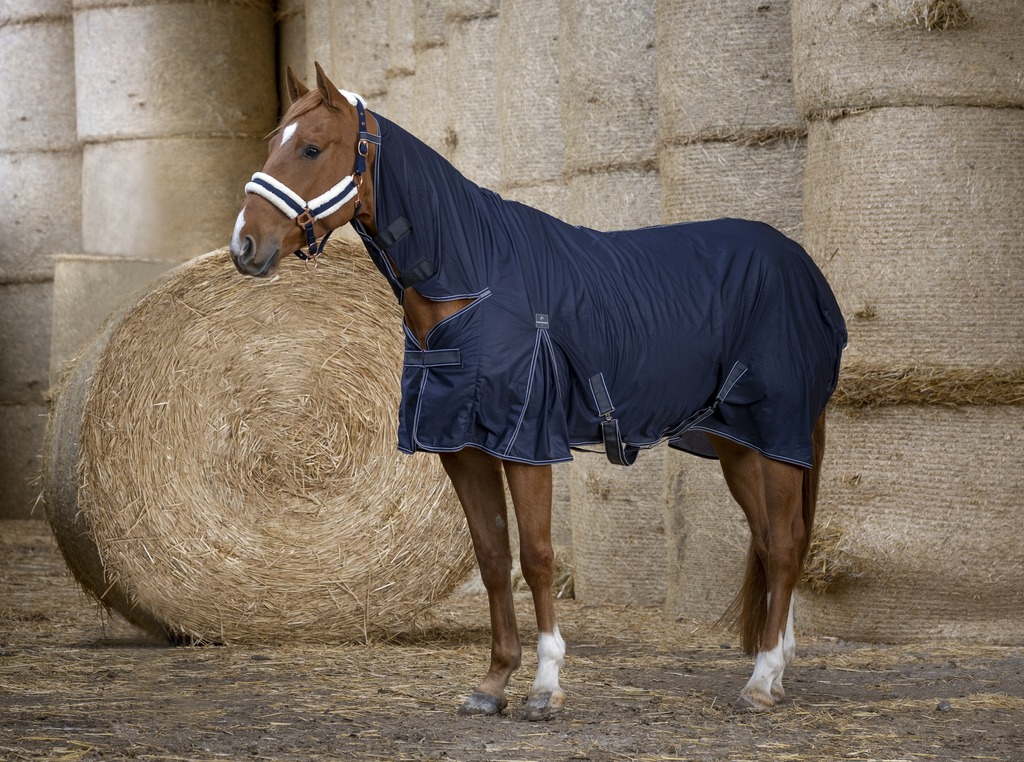 Chemise EQUITHÈME "Cool Dry" Combo