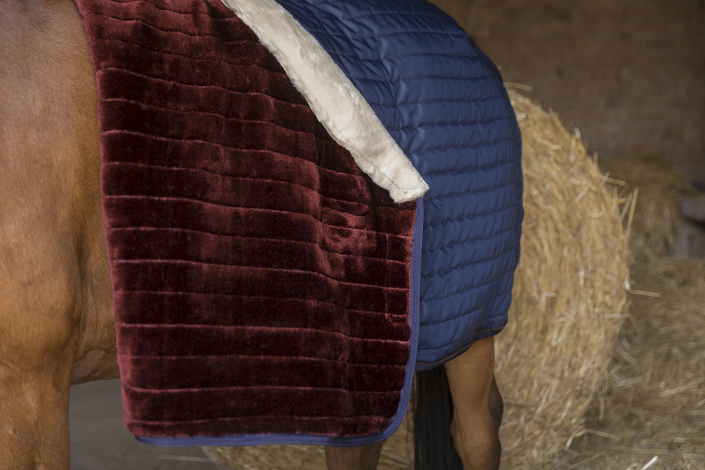 Couverture d'écurie EQUITHÈME "Teddy", doublée mouton synthétique