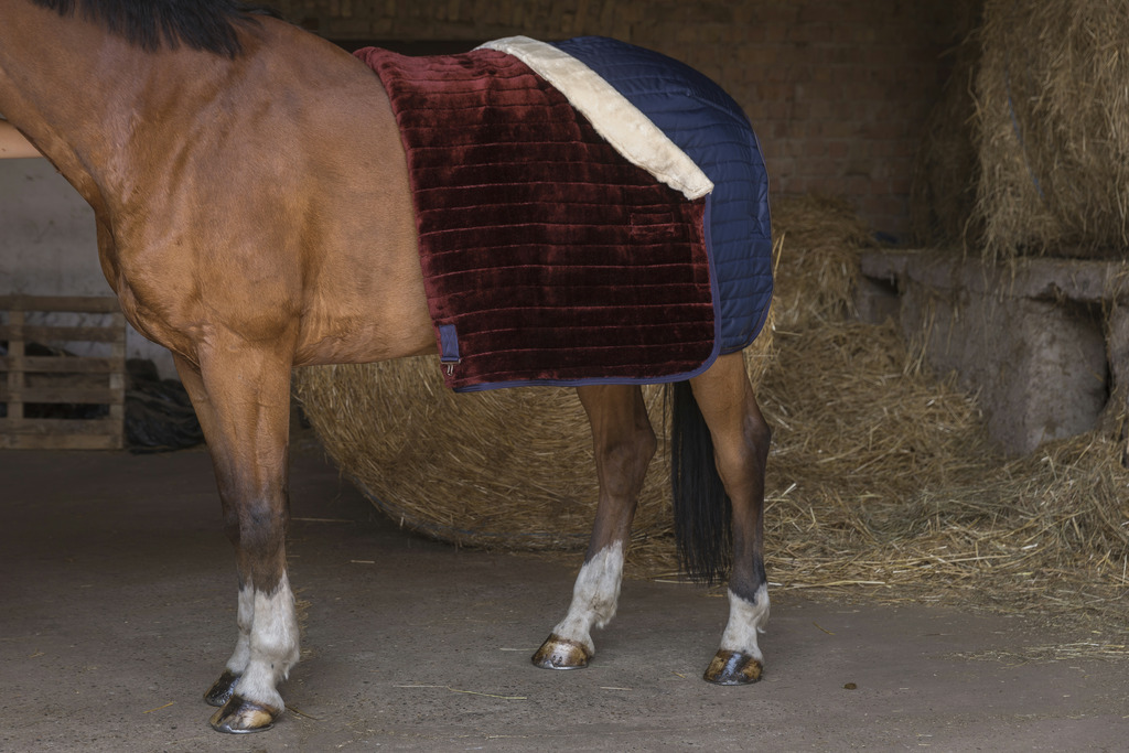 Couverture d'écurie EQUITHÈME "Teddy", doublée mouton synthétique