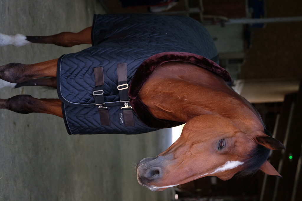 Couverture velours EQUITHEME "Teddy"