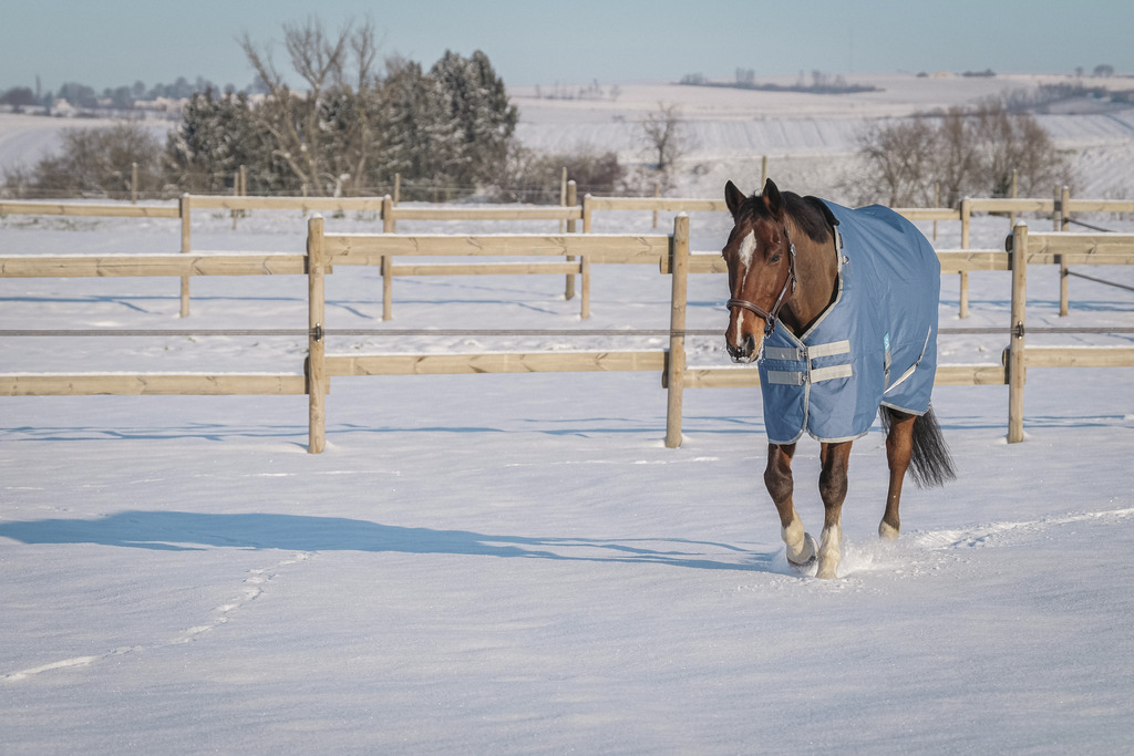Couverture EQUITHÈME "TYREX 600D", 0G, recyclée