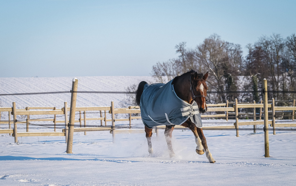 Couverture EQUITHÈME "TYREX 600D", 0G, recyclée