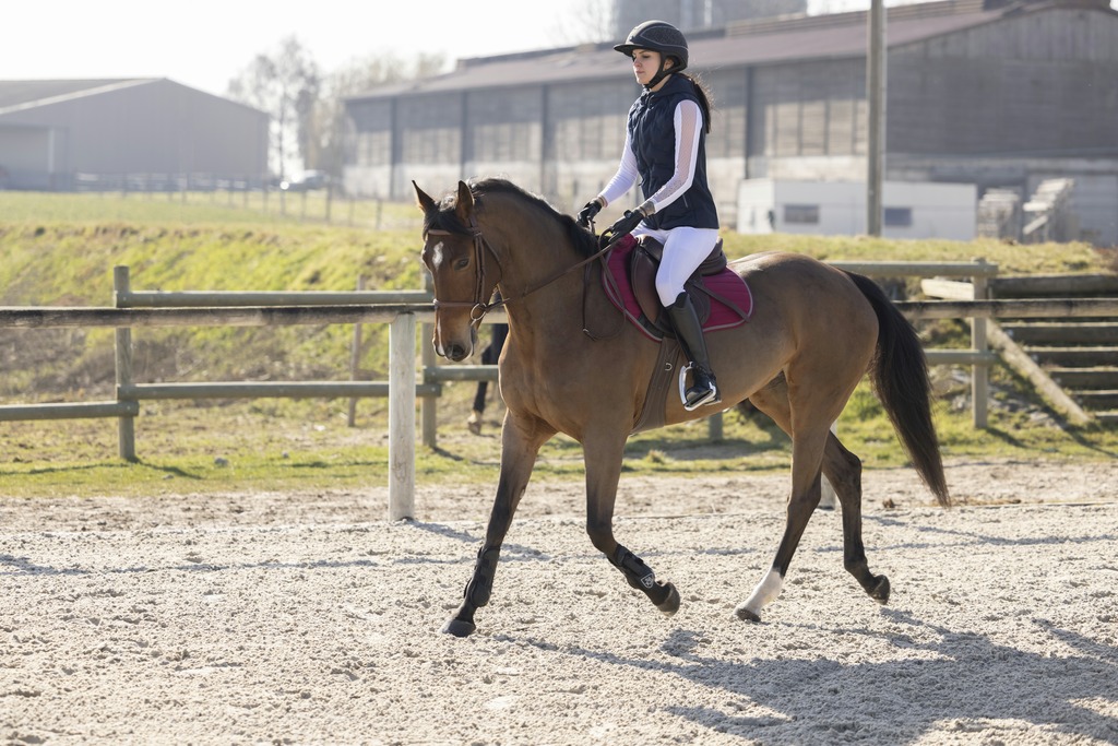 Gilet PRO SERIES "Piaffer"