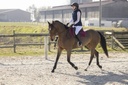 Gilet PRO SERIES "Piaffer"