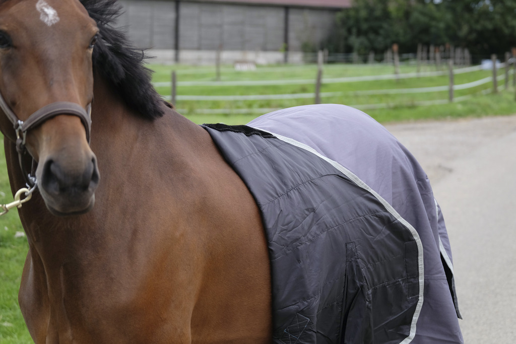 Couverture EQUITHÈME "TYREX 1200D", 0G, recyclée