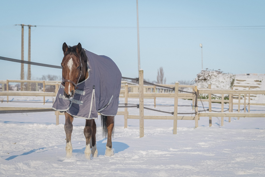 Couverture EQUITHÈME "TYREX 1200D", 0G, recyclée