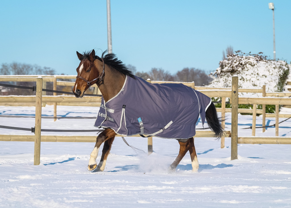 Couverture EQUITHÈME "TYREX 1200D", 0G, recyclée