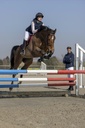 Gilet PRO SERIES "Piaffer"