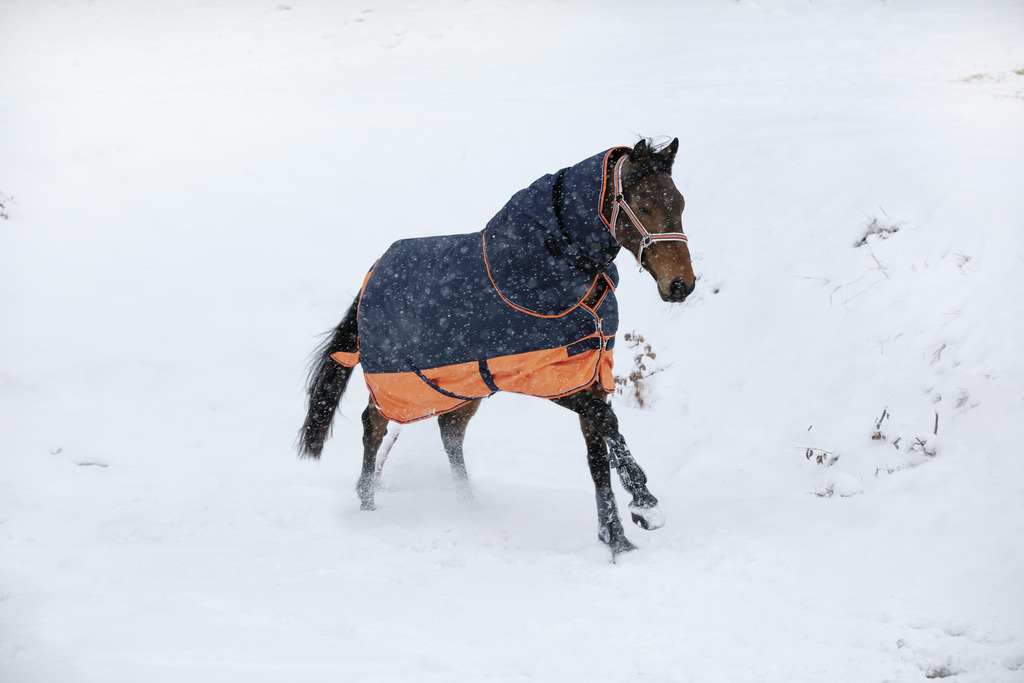 Couverture EQUITHÈME TYREX 600 D, 0g