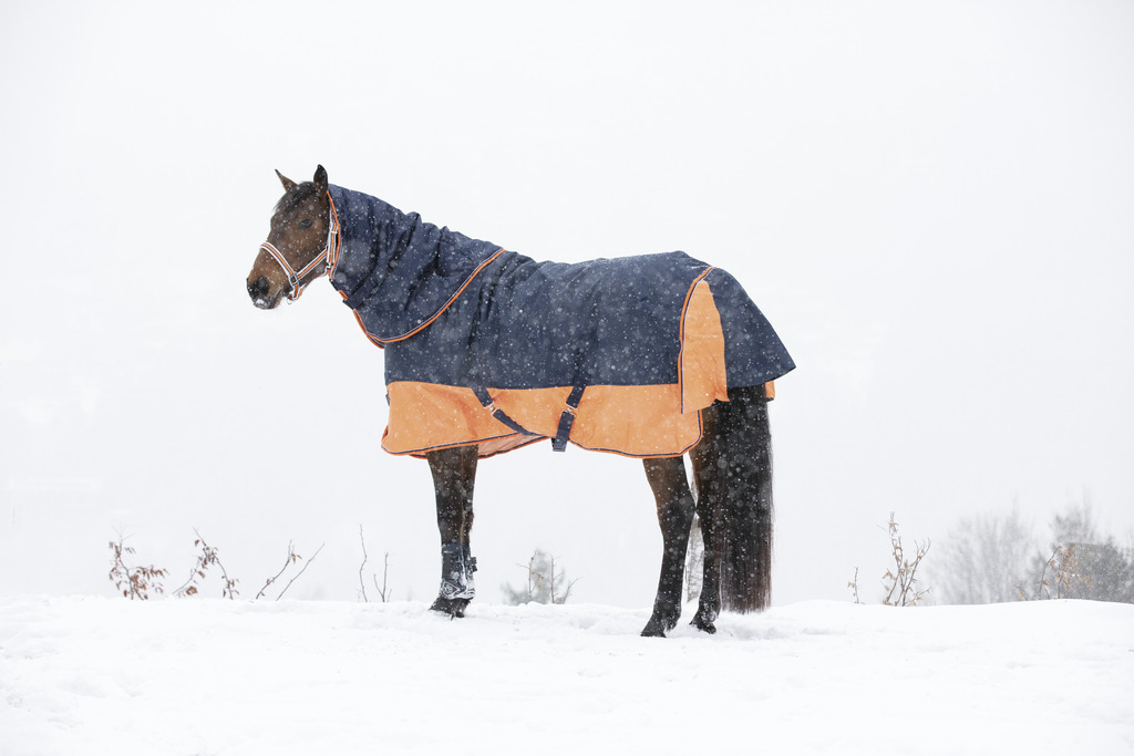 Couverture EQUITHÈME TYREX 600 D, 0g