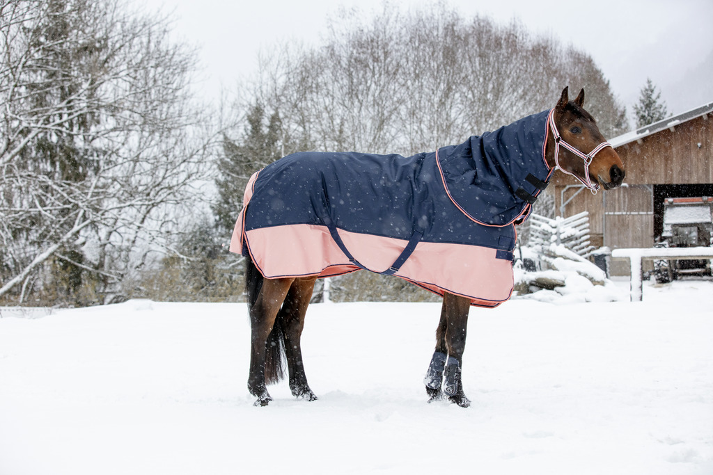 Couverture EQUITHÈME TYREX 600 D, 0g