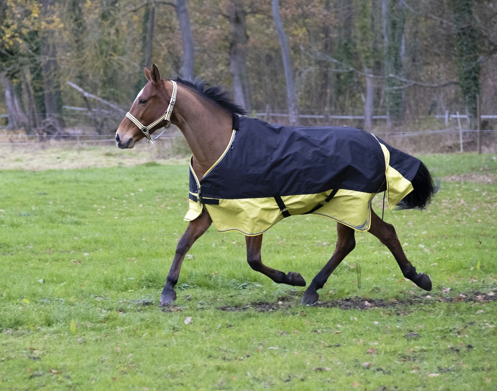 Couverture EQUITHÈME TYREX 600 D, 300g