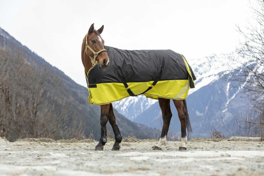 Couverture EQUITHÈME TYREX 600 D, 300g