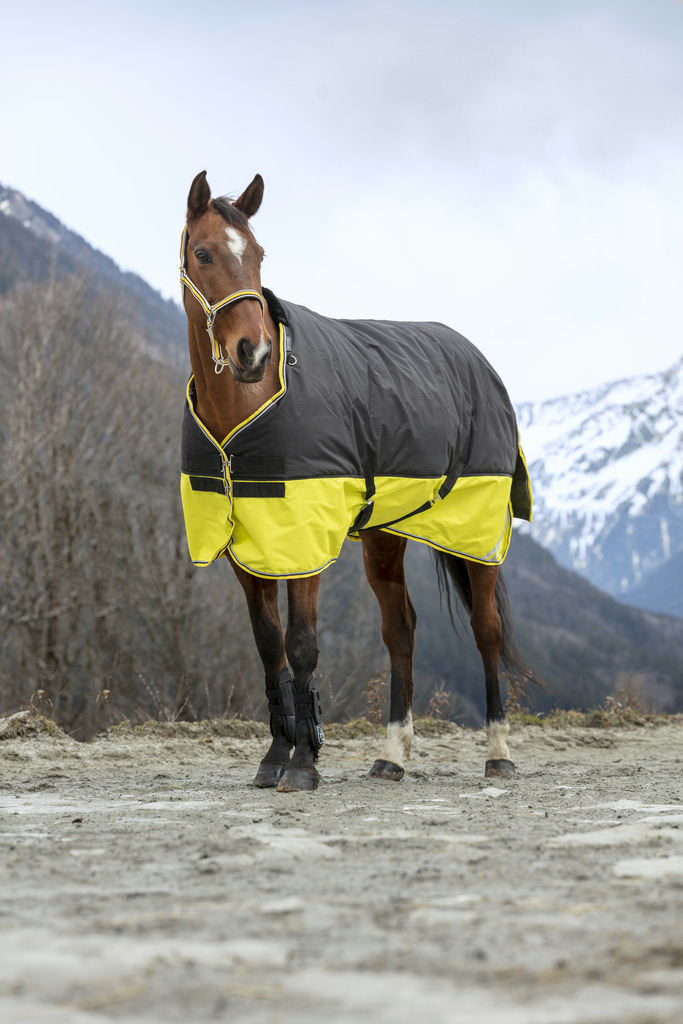 Couverture EQUITHÈME TYREX 600 D, 300g