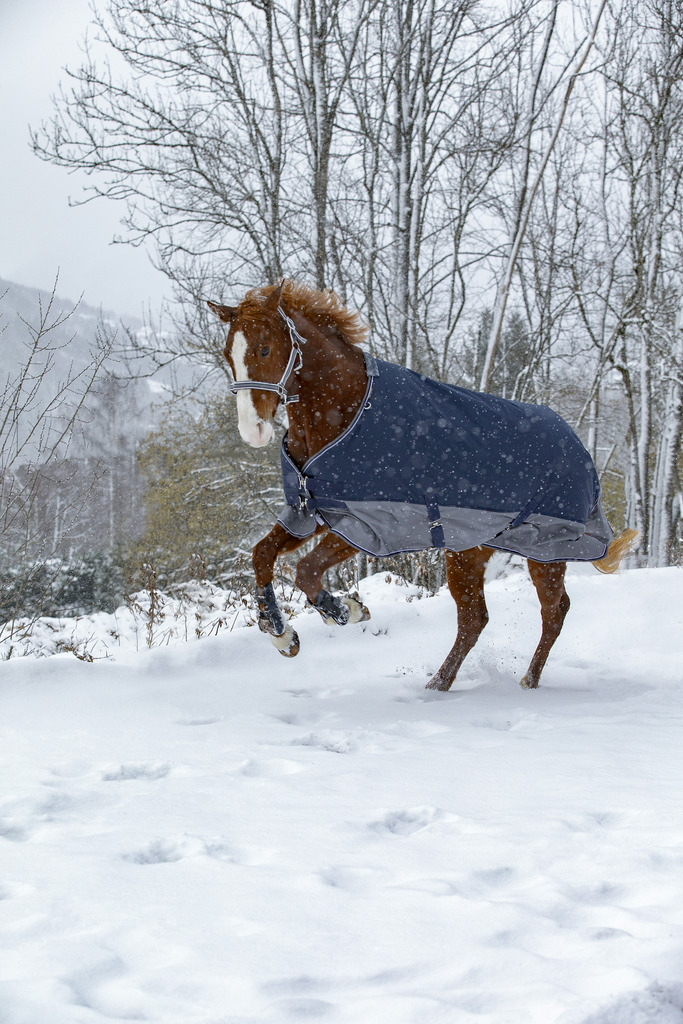 Couverture EQUITHÈME "TYREX 600 D", doublée polaire