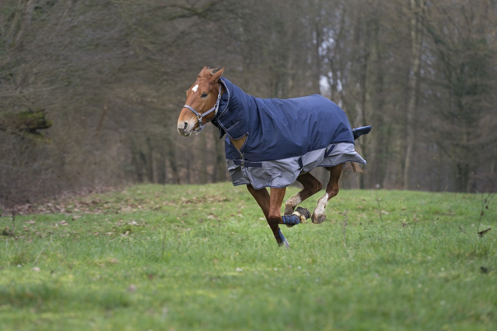 Couverture EQUITHÈME "TYREX 600 D", 350g, Combo