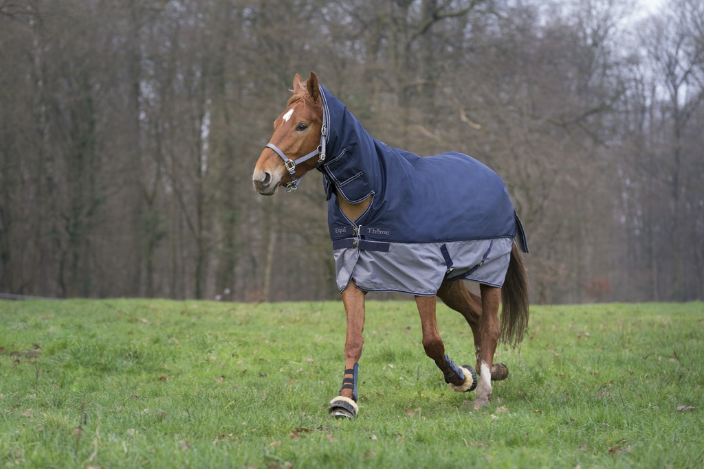 Couverture EQUITHÈME "TYREX 600 D", 350g, Combo