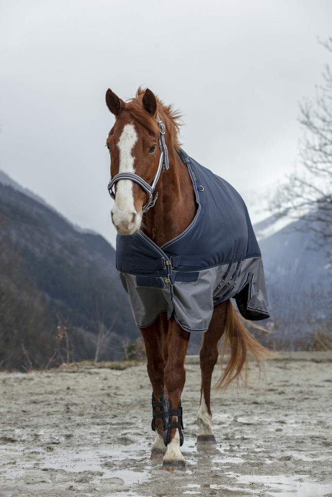 Couverture EQUITHÈME "TYREX 600 D", 300g, Belly belt