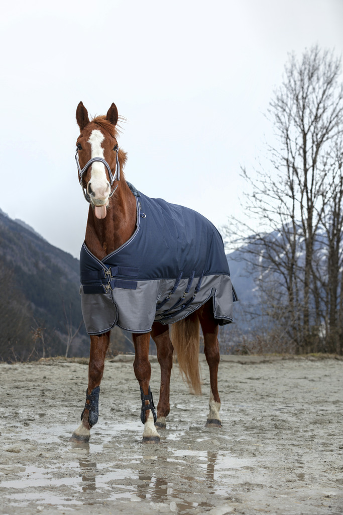 Couverture EQUITHÈME "TYREX 600 D", 300g, Belly belt