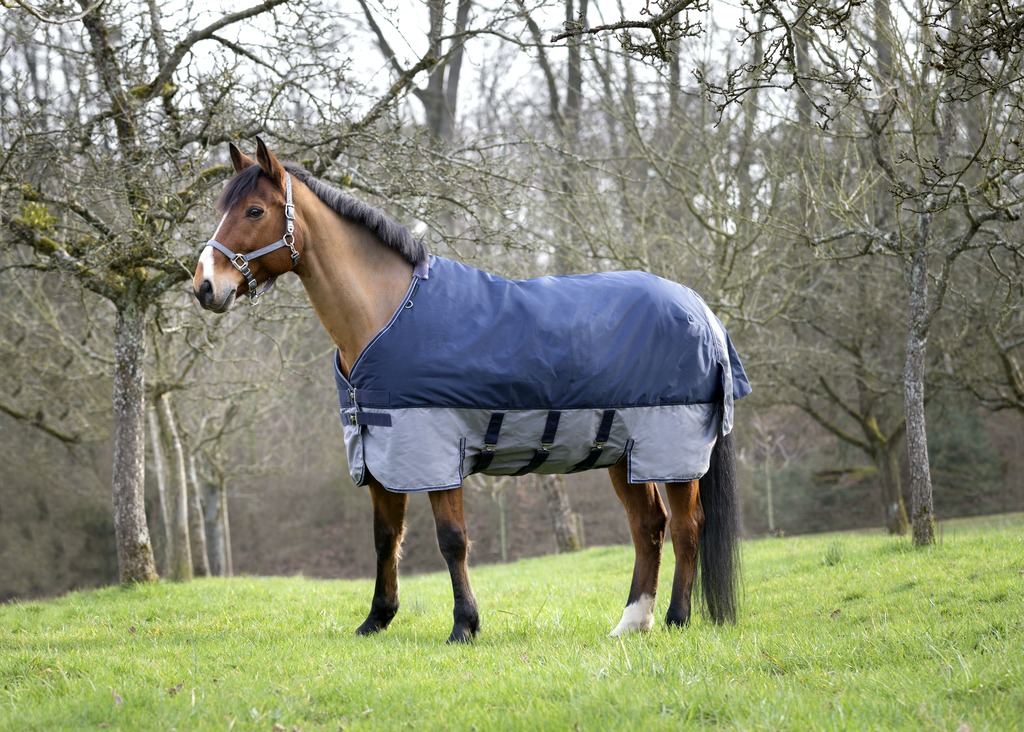 Couverture EQUITHÈME "TYREX 600 D", 300g, Belly belt