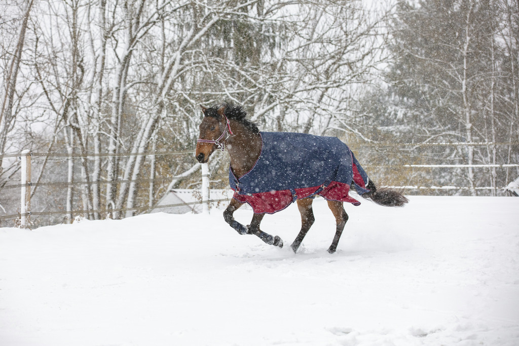Couverture EQUITHÈME "TYREX 1200 D", 50g