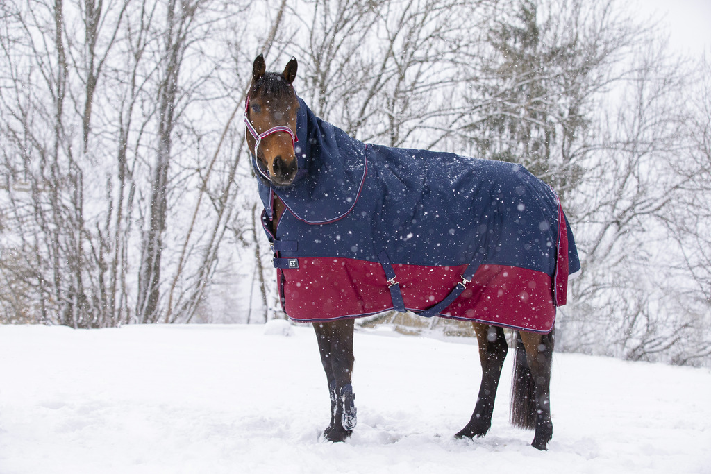 Couverture EQUITHÈME "TYREX 1200 D", 50g