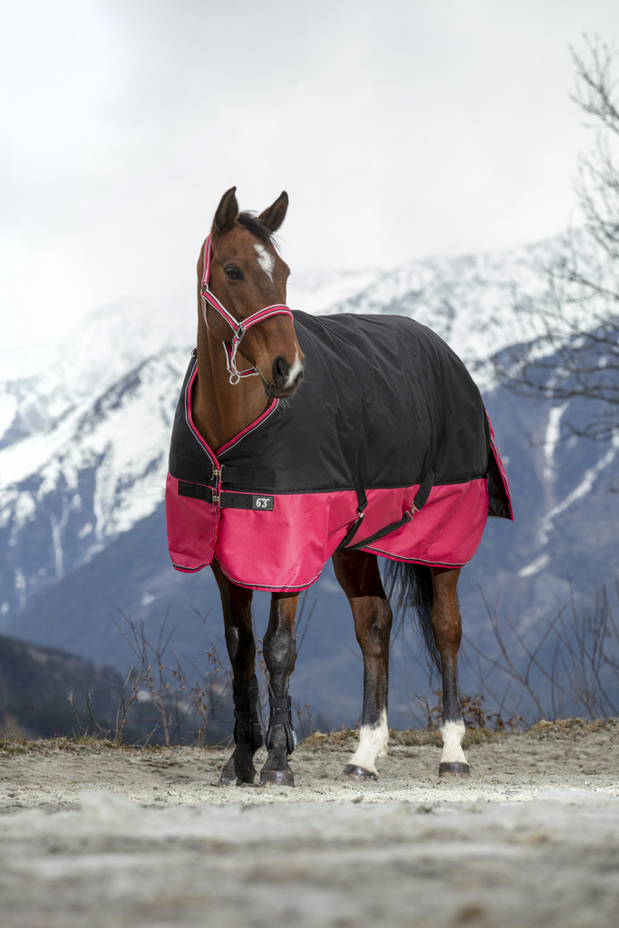 Couverture EQUITHÈME "TYREX 1200 D", 50g