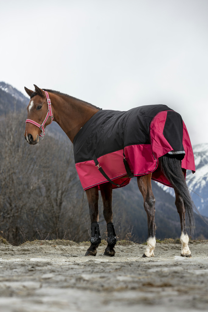 Couverture EQUITHÈME "TYREX 1200 D", 50g