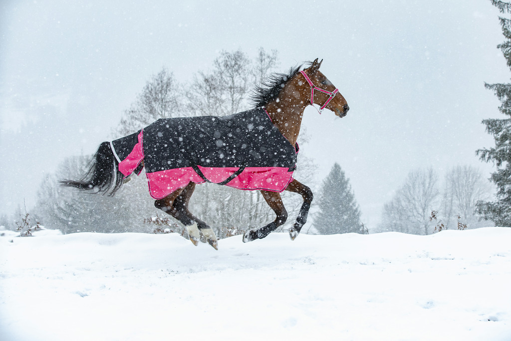 Couverture EQUITHÈME "TYREX 1200 D", 50g