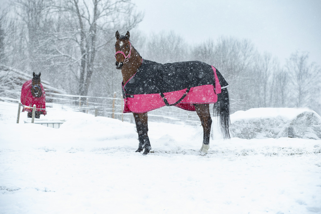 Couverture EQUITHÈME "TYREX 1200 D", 50g