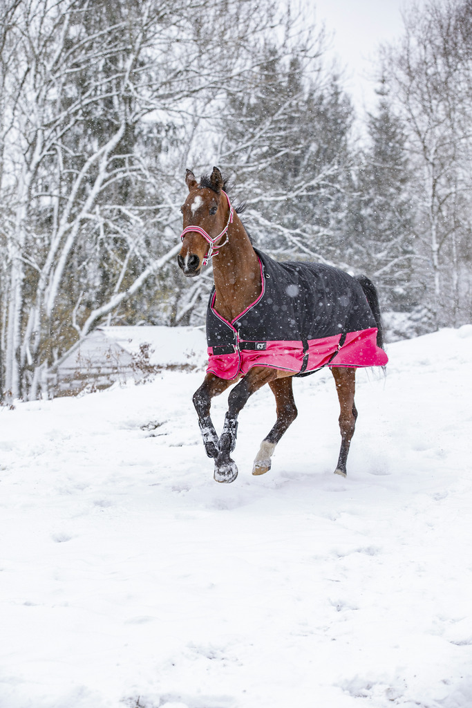 Couverture EQUITHÈME "TYREX 1200 D", 50g