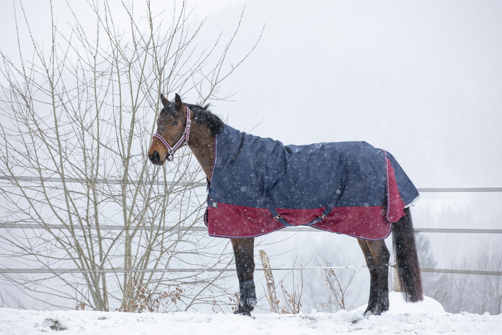 Couverture EQUITHÈME "TYREX 1200 D", 300g, High Neck