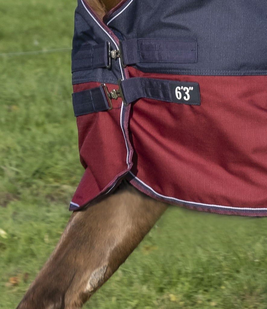 Couverture EQUITHÈME "TYREX 1200 D", 300g, High Neck