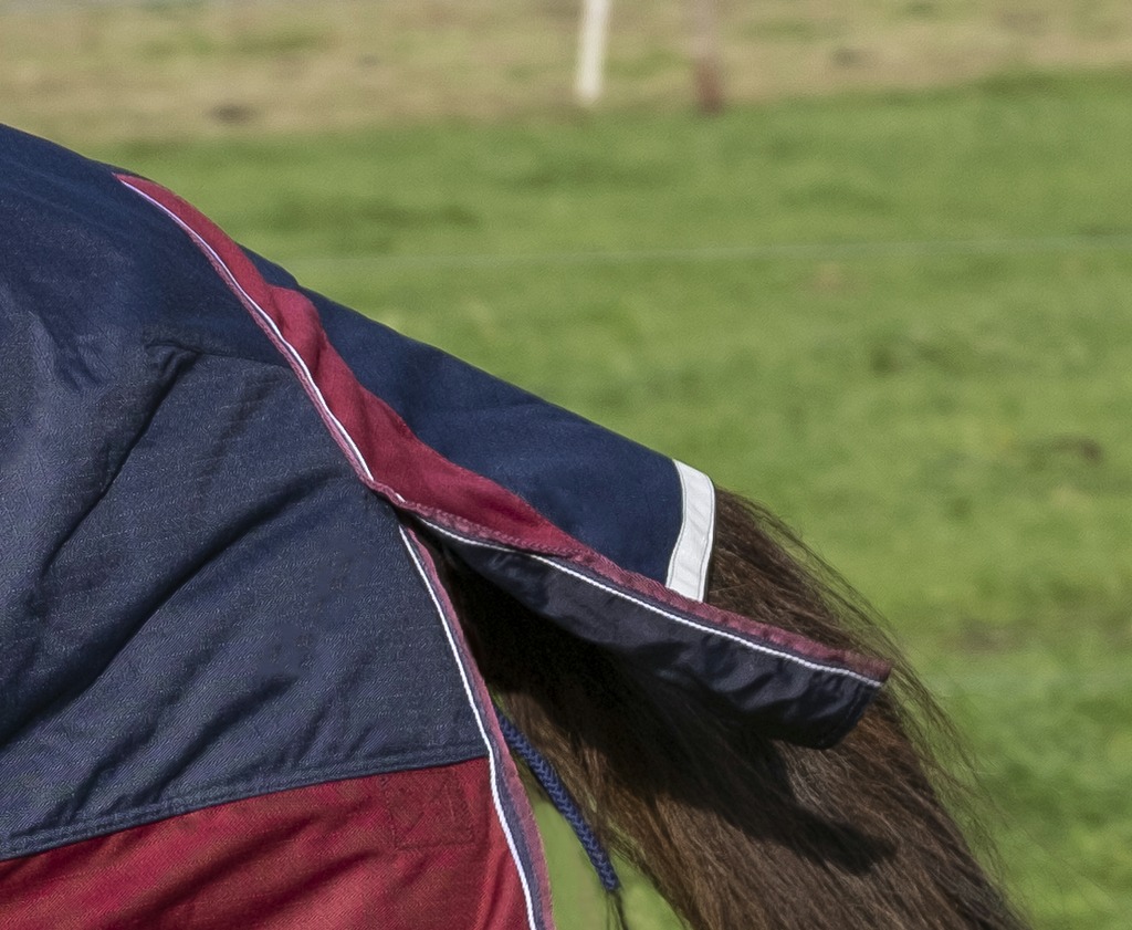 Couverture EQUITHÈME "TYREX 1200 D", 300g, High Neck