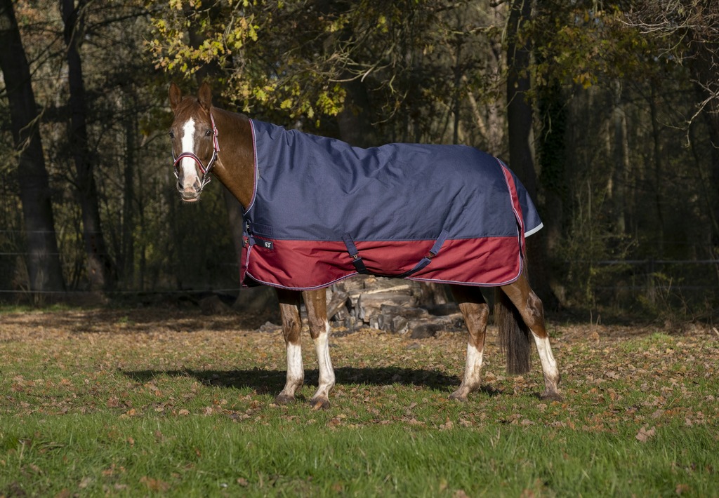 Couverture EQUITHÈME "TYREX 1200 D", 300g, High Neck