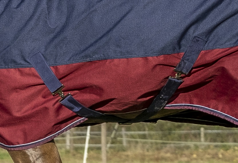 Couverture EQUITHÈME "TYREX 1200 D", 0g, Combo