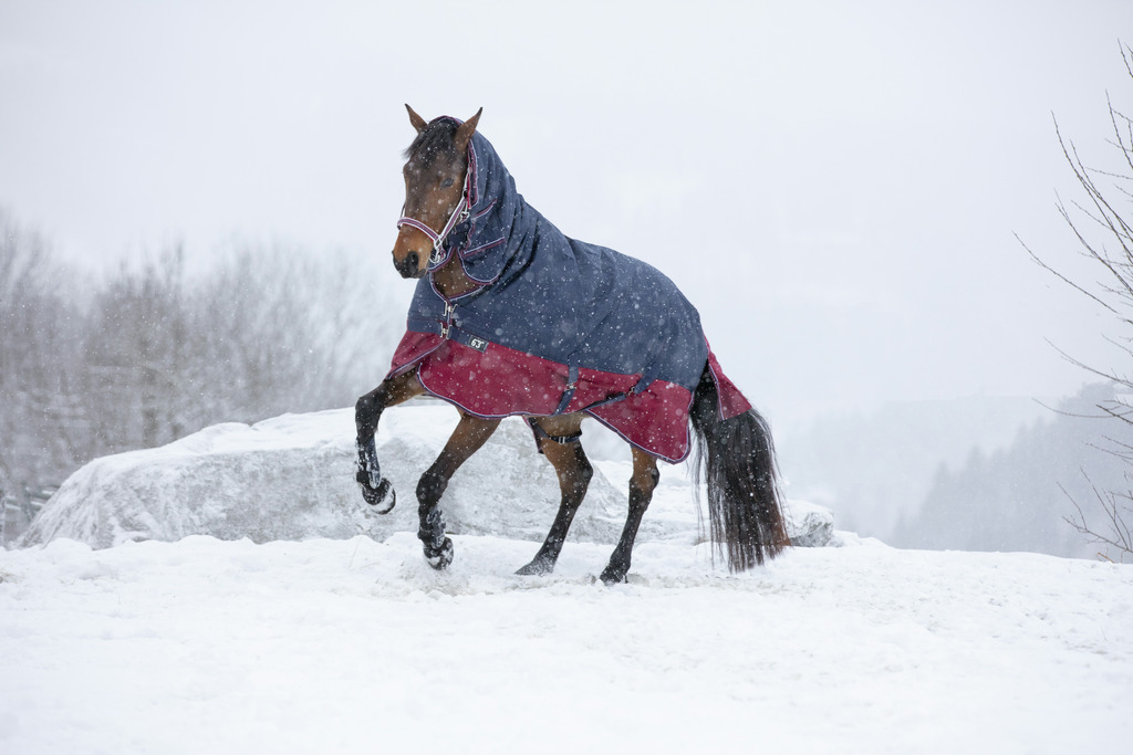 Couverture EQUITHÈME "TYREX 1200 D", 0g, Combo