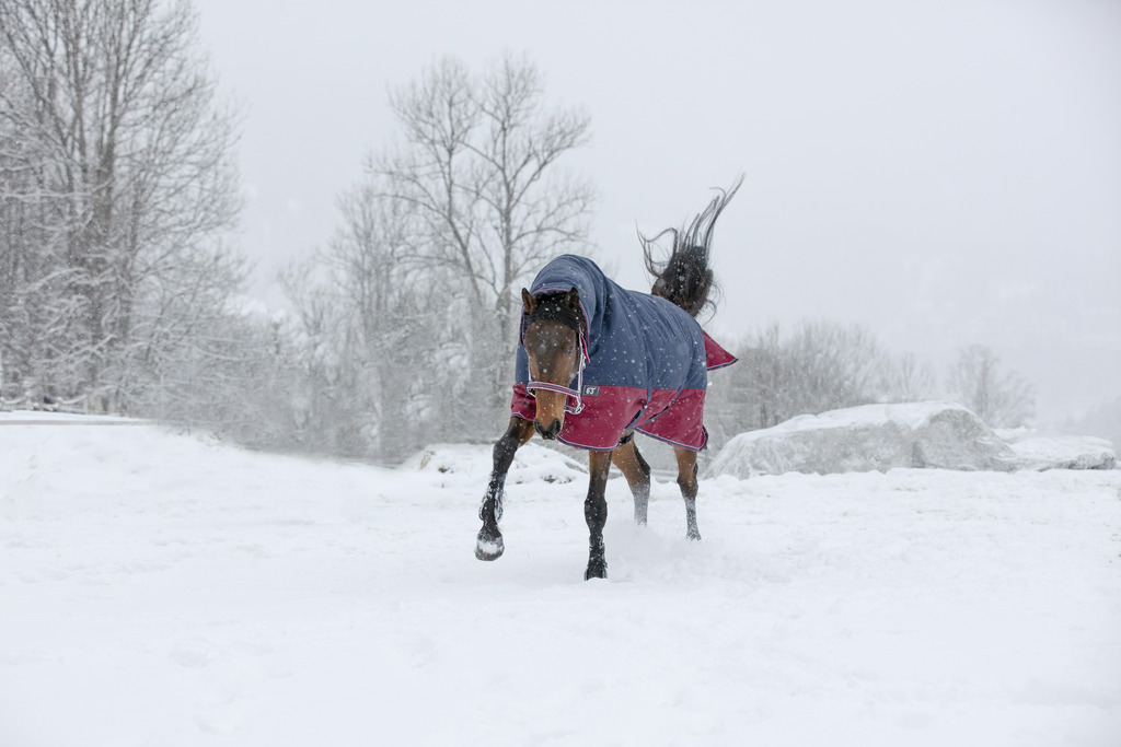 Couverture EQUITHÈME "TYREX 1200 D", 0g, Combo