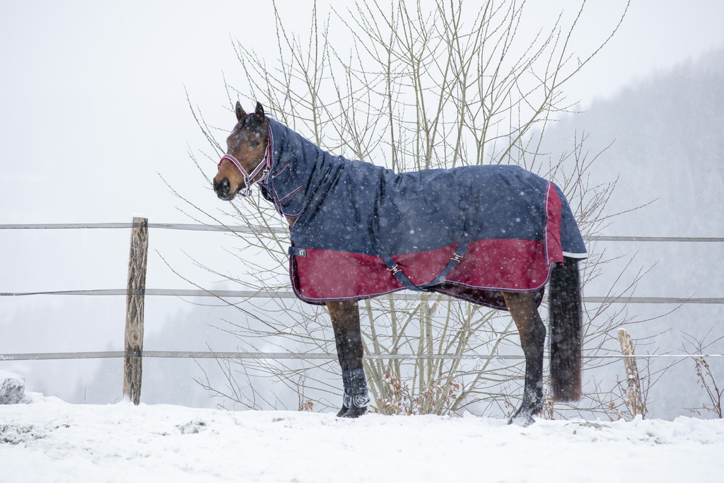 Couverture EQUITHÈME "TYREX 1200 D", 0g, Combo