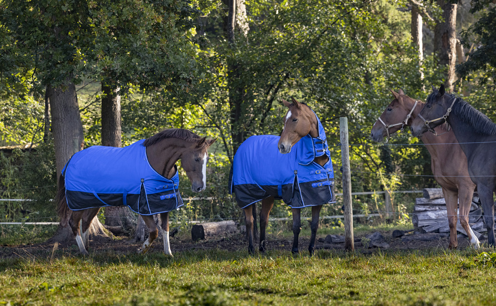 Couverture EQUITHÈME TYREX 1200D, 0g, "Aisance"