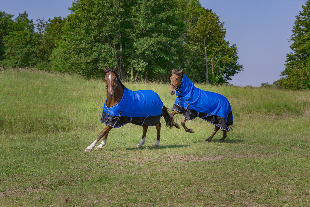 Couverture EQUITHÈME TYREX 1200D, 0g, "Aisance"