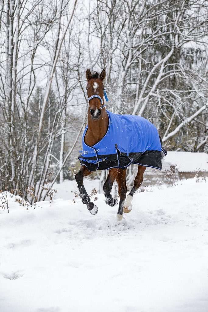 Couverture EQUITHÈME TYREX 1200D, 0g, "Aisance"
