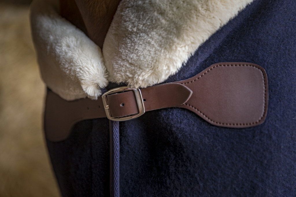 Couverture laine EQUITHÈME "Teddy"