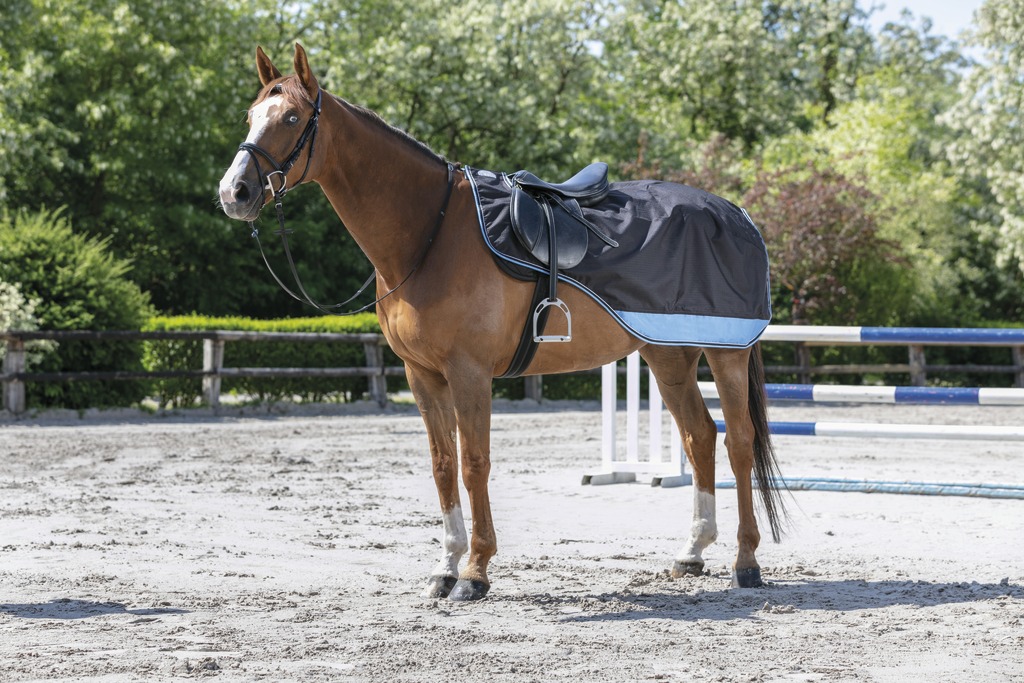 Couvre-reins EQUITHÈME "TYREX 600 D"