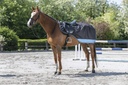 Couvre-reins EQUITHÈME "TYREX 600 D"