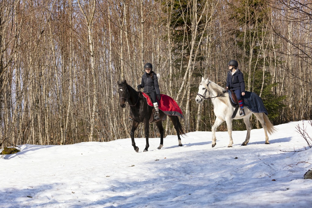Couvre-reins EQUITHÈME "TYREX 1200 D", doublé polaire